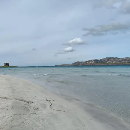 Old Town Apartament Alghero